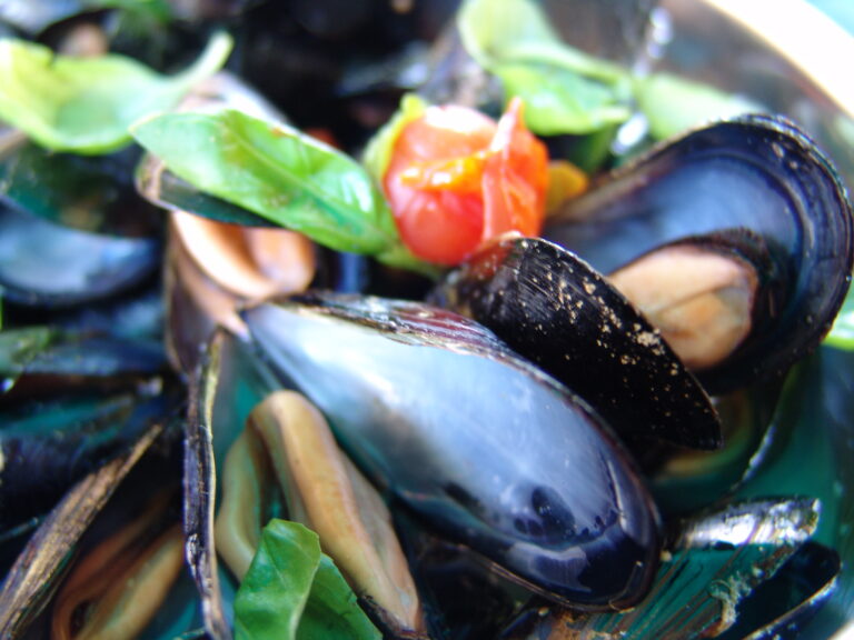 Le Cozze se comprate in Liguria sono Muscoli? - Salvo Nicastro Chef
