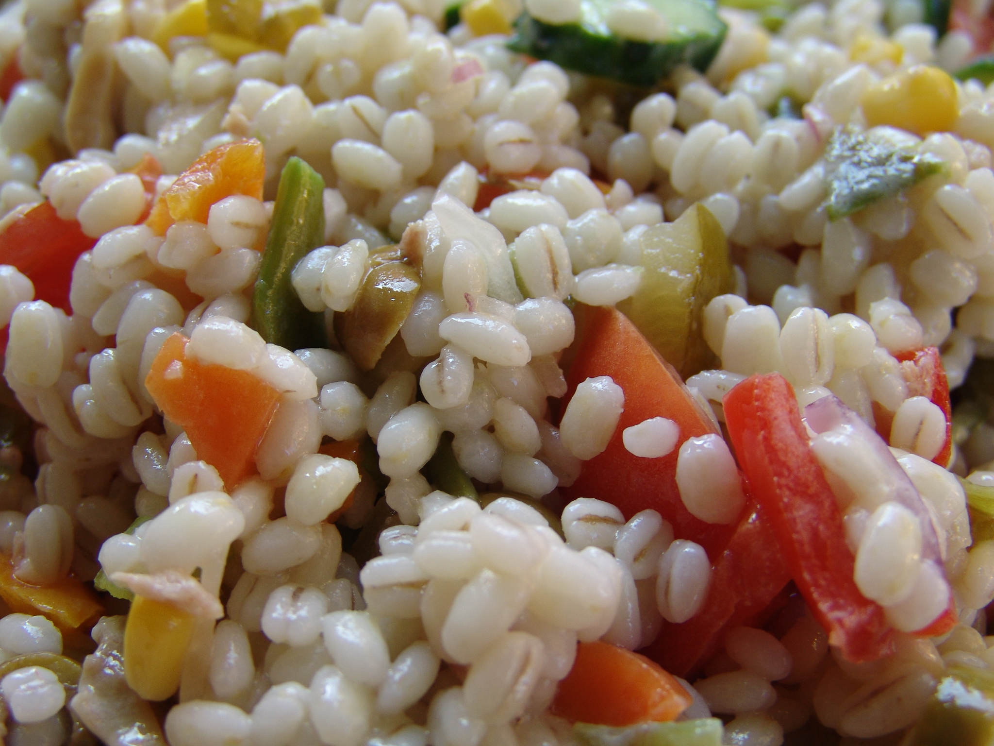 Rifriscolaro: Insalata d’Orzo Perlato - Salvo Nicastro Chef