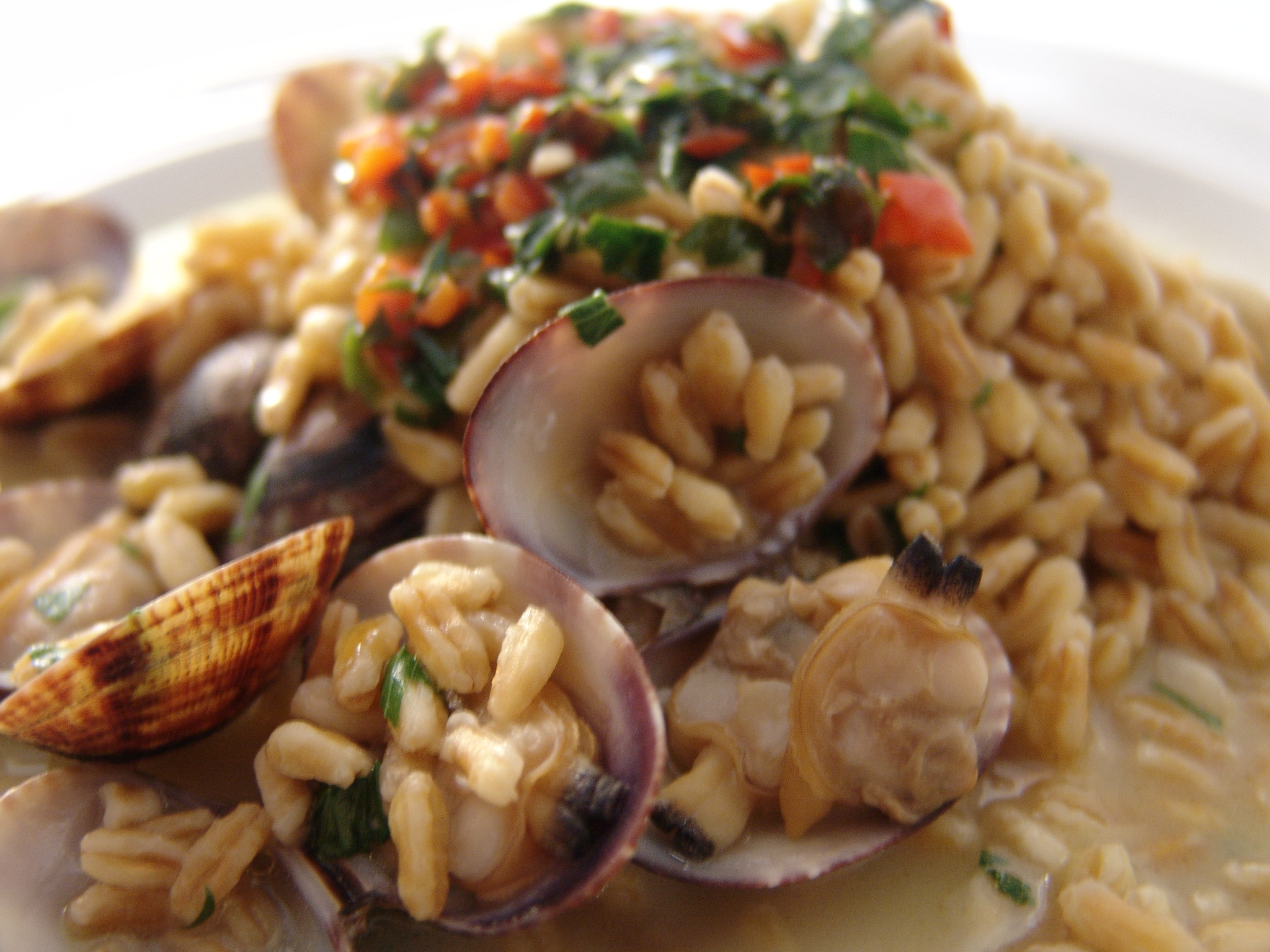 Vongole veraci e Kamut - Salvo Nicastro Chef