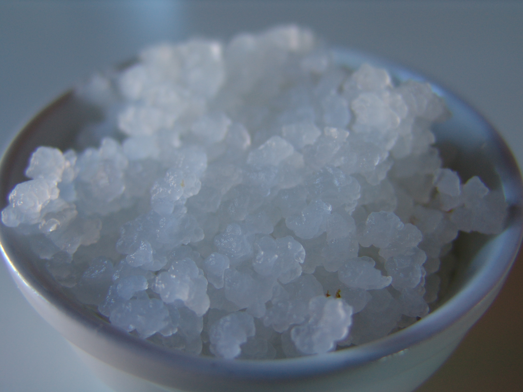 Verme: Kefir d’ acqua - Salvo Nicastro Chef