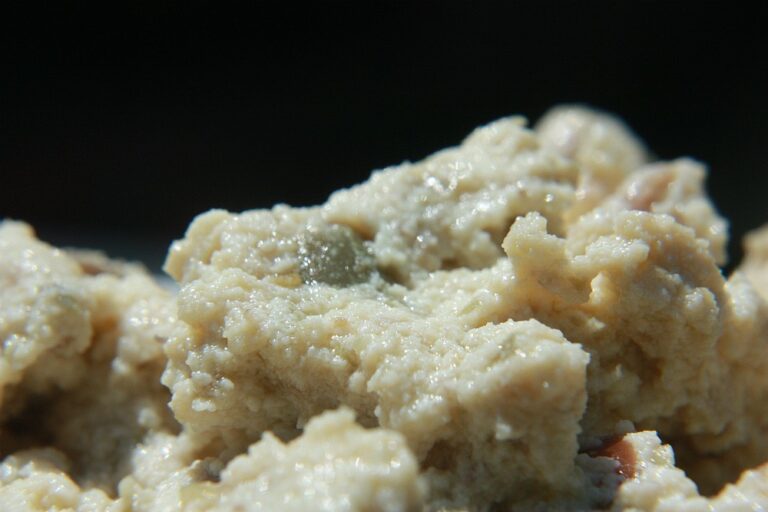 Patè di Tofu alle Olive - Salvo Nicastro Chef