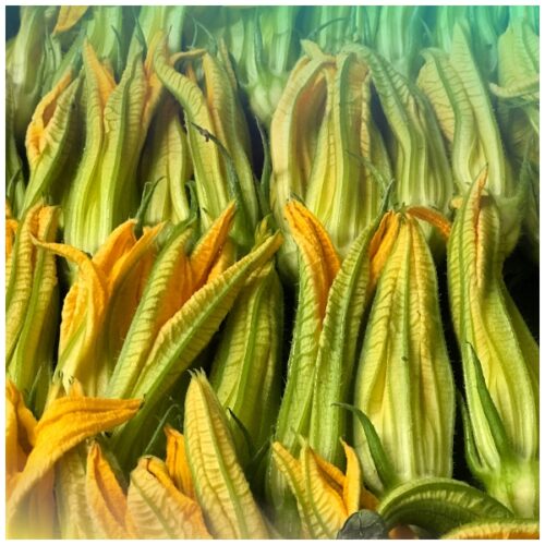 Fiori e zucchine alla pimpinella
