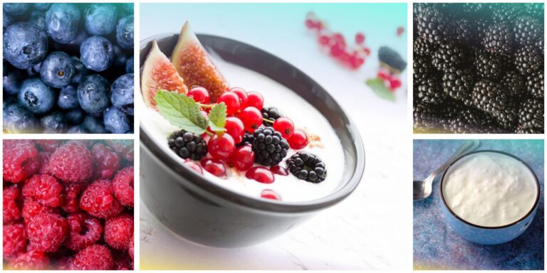 Yogurt con frutti di bosco: ciotola di yogurt con ribes, more e fico, circondata da mirtilli, lamponi, more e yogurt