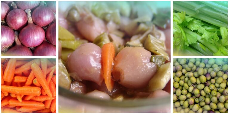 Lampascioni in agrodolce con carota, sedano e olive verdi, circondati da cipolline rosse, carote, sedano e olive