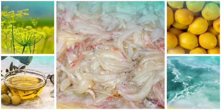 Novellame fresco, bianchetti, con intorno finocchietto selvatico, limoni, olio extravergine e mare
