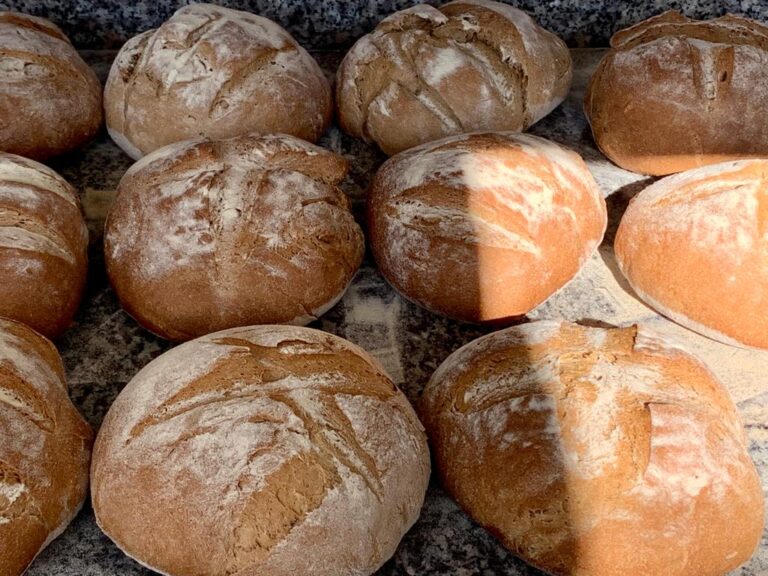 Pagnotte di pane integrale a lievito madre appena sfornate su un piano di granito