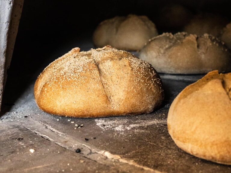 Pagnotte di pane a lievito madre nel forno a legna
