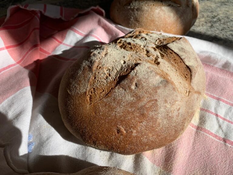 Pagnotta di pane a lievito madre con taglio a croce su un canovaccio a righe rosse