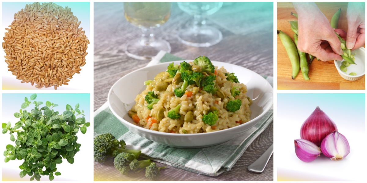 Risotto di avena e fave all'origano fresco