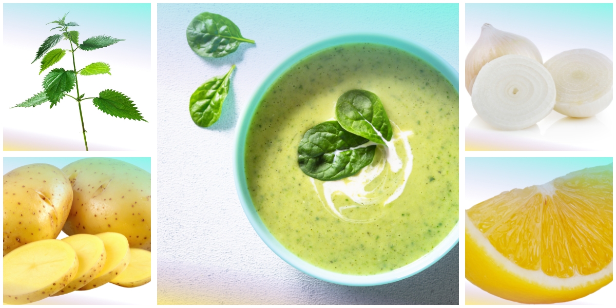 Zuppa fredda alle ortiche